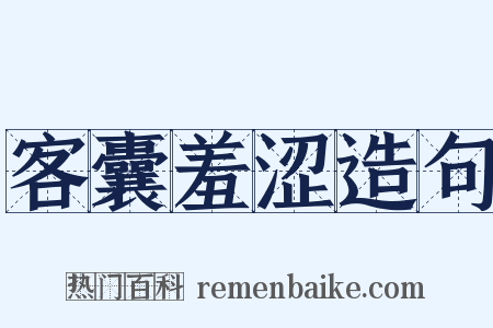 客囊羞涩造句是什么意思的图片